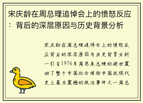 宋庆龄在周总理追悼会上的愤怒反应：背后的深层原因与历史背景分析