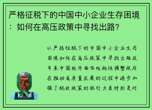 严格征税下的中国中小企业生存困境：如何在高压政策中寻找出路？